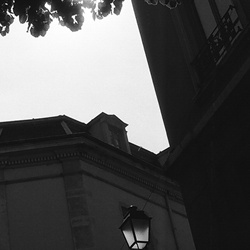 dailyPhoto38